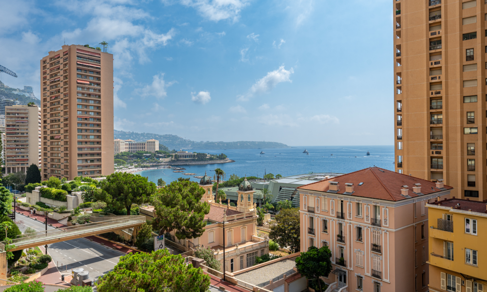 Luxuriously Renovated Apartment With Sea View - 2/14