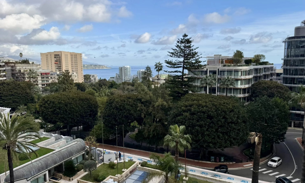 Luxuriously Renovated Apartment with Beautiful Views - 1/11