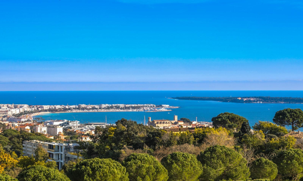 Exceptional Villa Currently Under Renovation In Cannes - 1/1