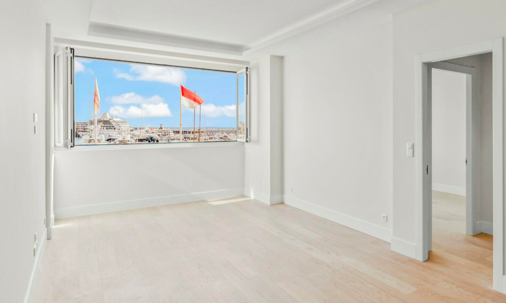 Appartement 1 chambre avec vue sur le port d’Hercules et F1 - 2/17