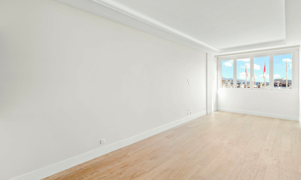 Appartement 1 chambre avec vue sur le port d’Hercules et F1 - 6/17