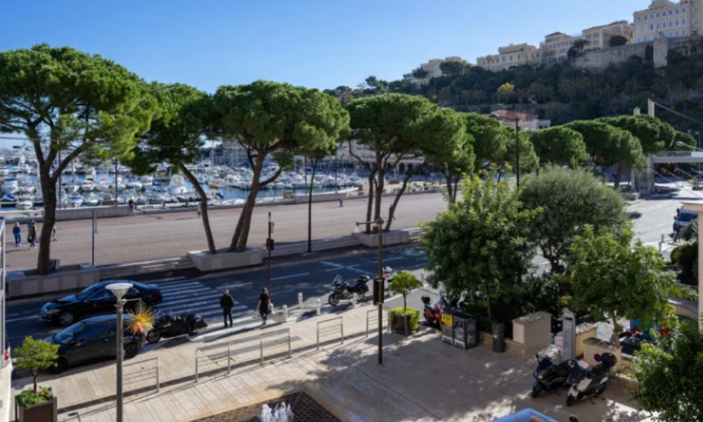 Bellissimo appartamento con vista su Port Hercules e il circuito di Formula 1 - 1/13