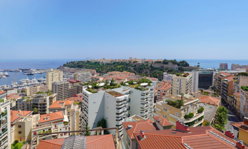Magnifique appartement rénové avec vue panoramique sur le port de Monaco - 1/14